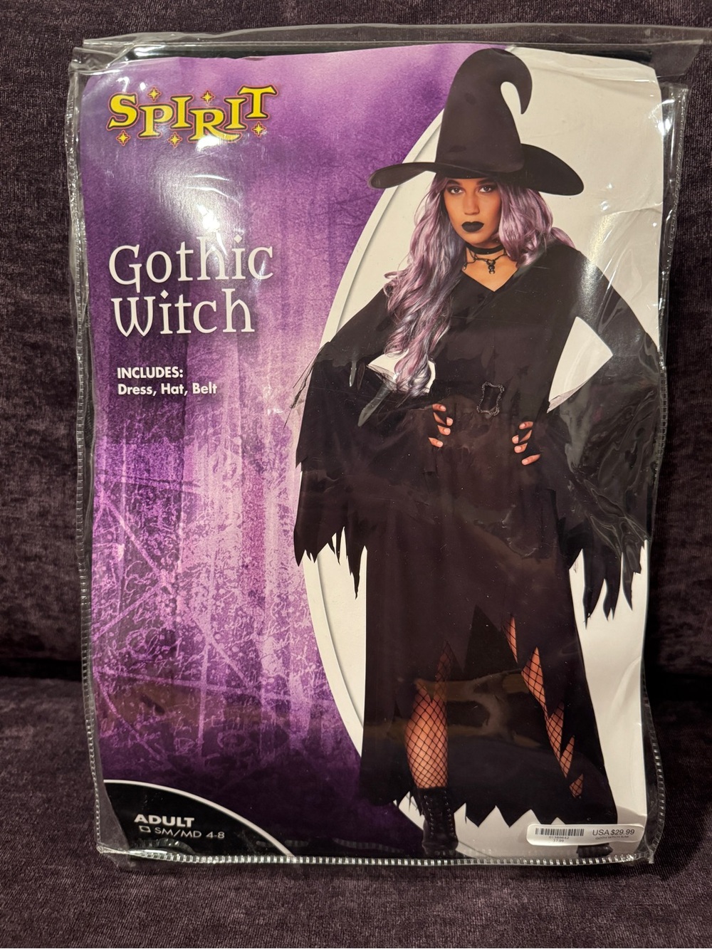 Gothic Witch Costume